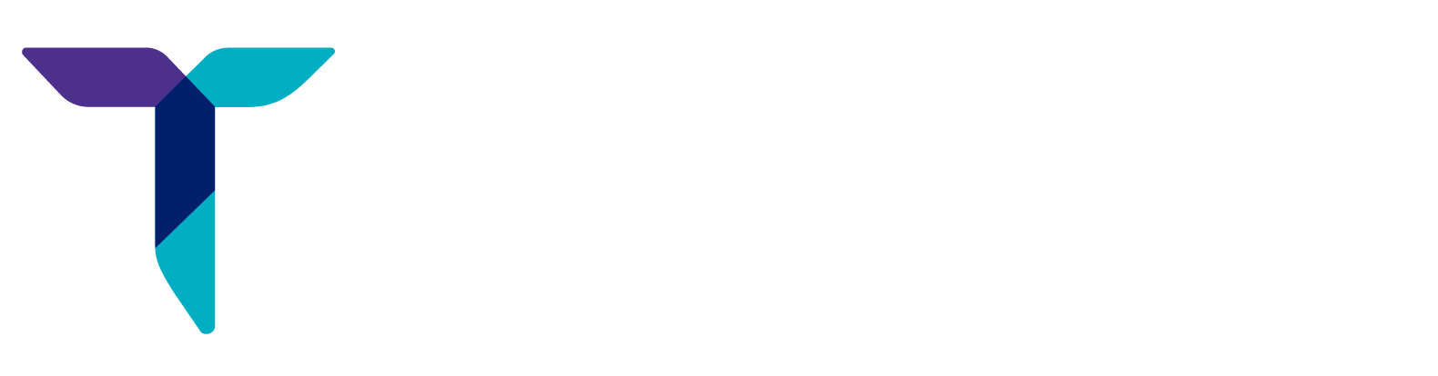 Technovia Info Solutions Pvt Ltd, Kochi Logo